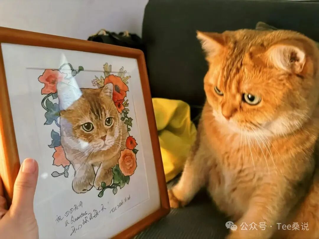 公众号原文中的绘画照片