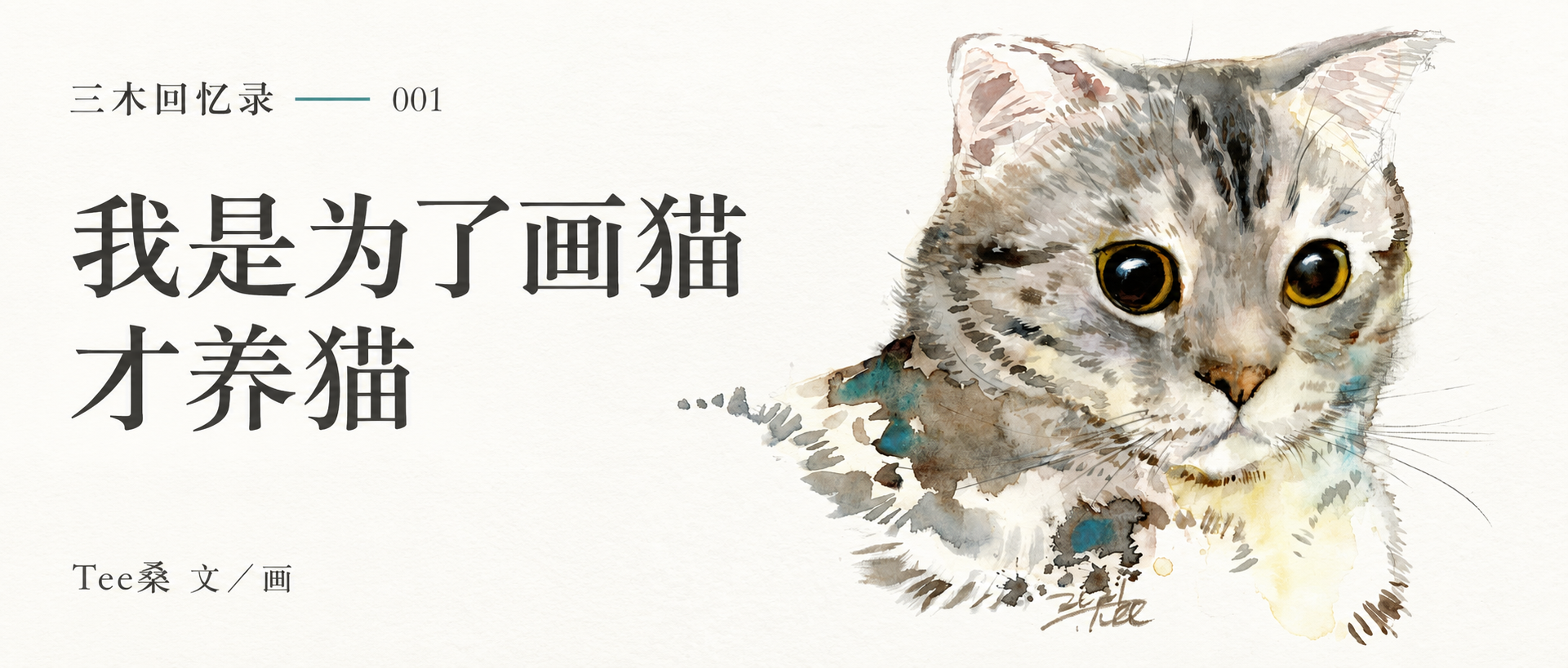 我是为了画猫才养猫,三木回忆录001