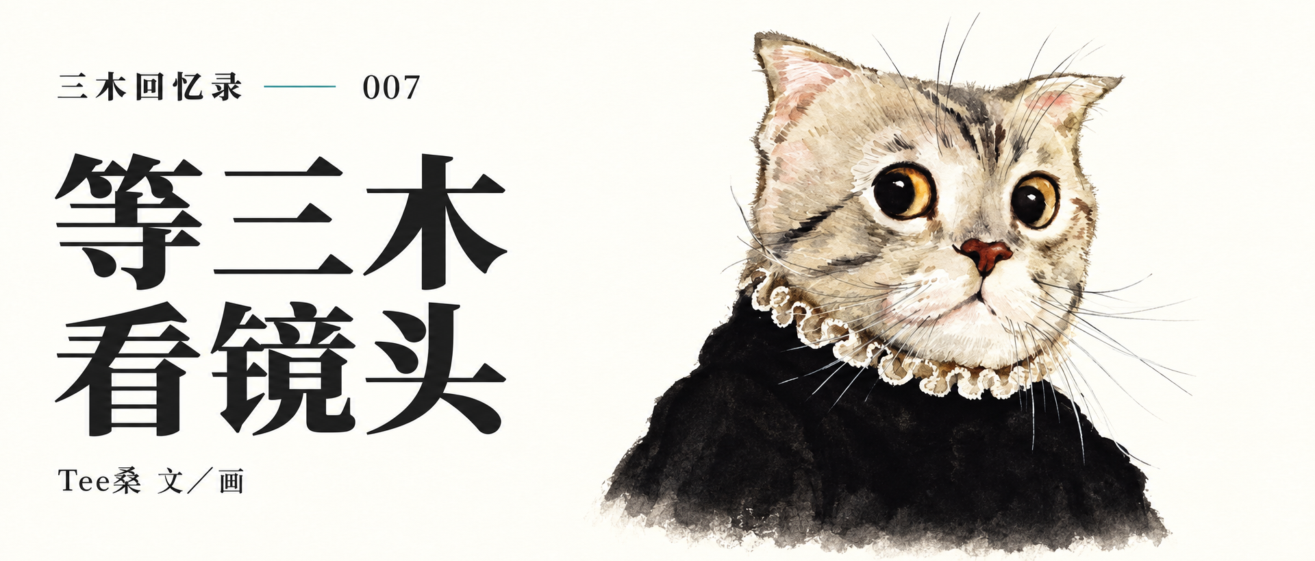 等三木看镜头 三木回忆录007 水彩猫咪封面