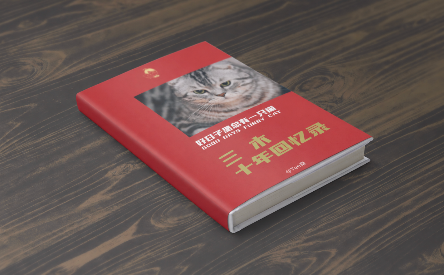 红色三木十年回忆录书封的装帧效果图