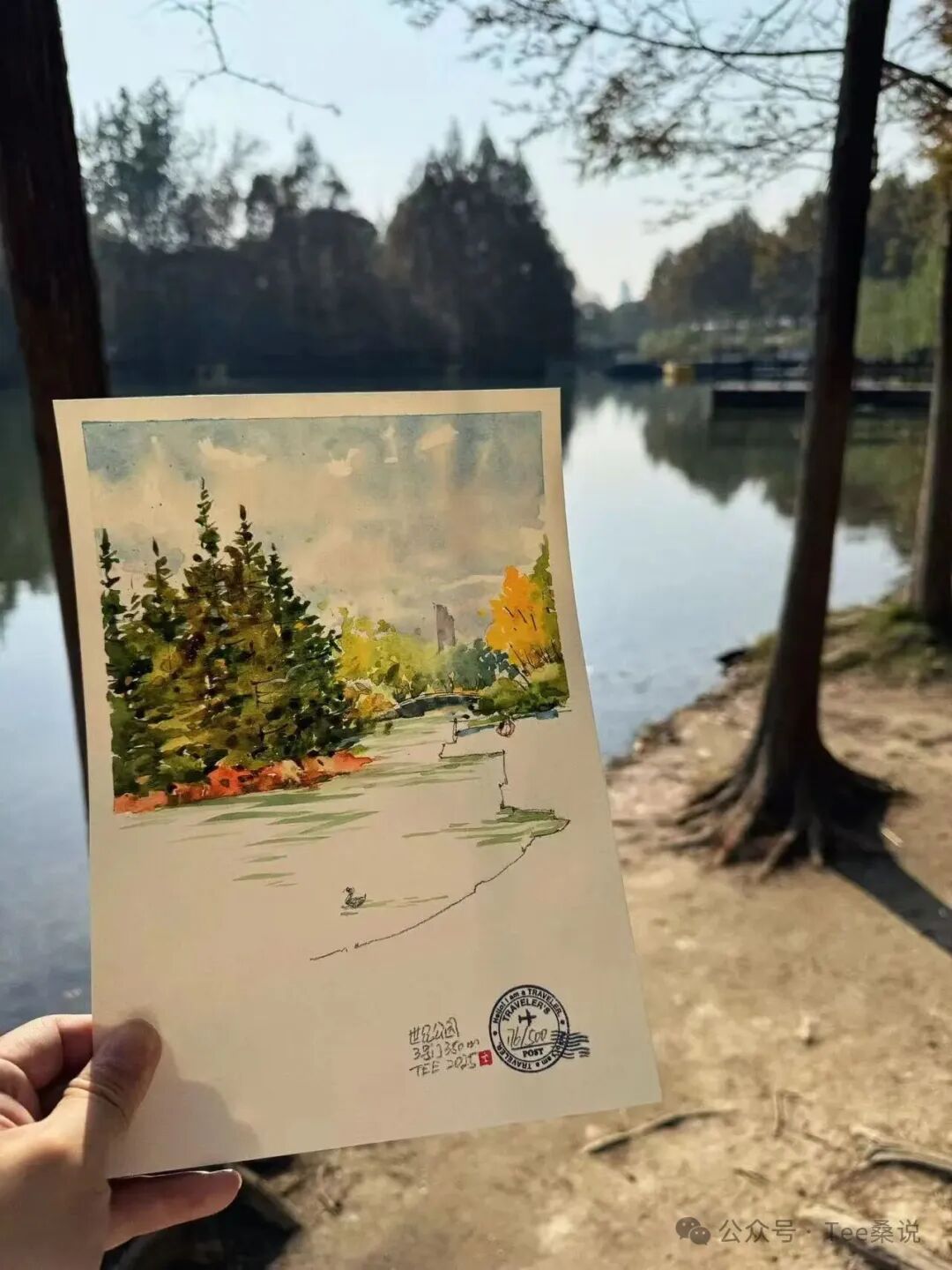 手持湖畔树木水彩写生,与现场景色对照