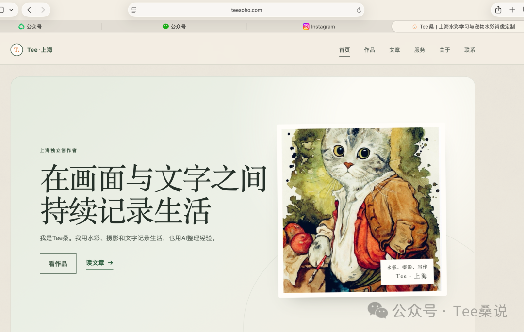 Tee桑个人作品集网站首页的浏览器预览截图