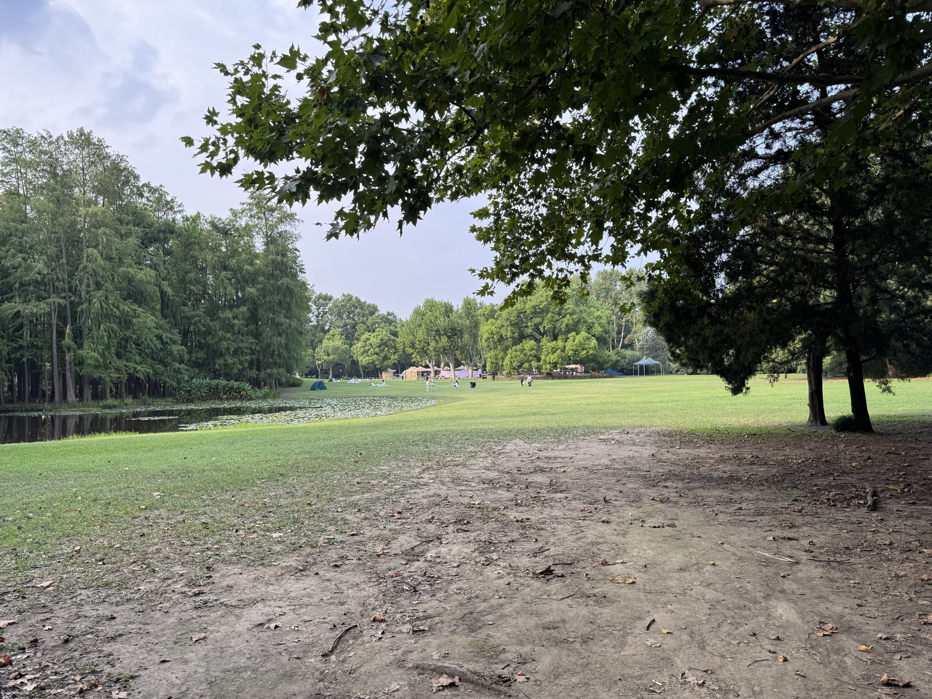 Gongqing Forest Park · What I saw · An open lawn